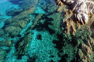 Ανησυχητική καθυστέρηση για τα δύο θαλάσσια πάρκα